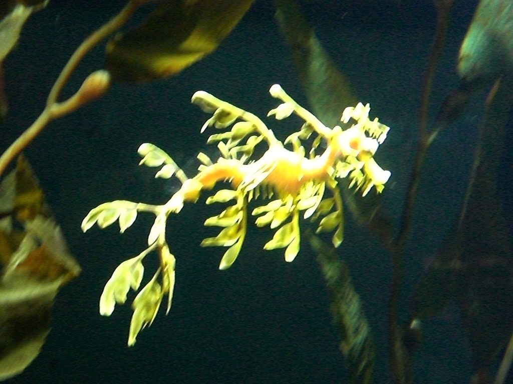 CIMG1359.JPG